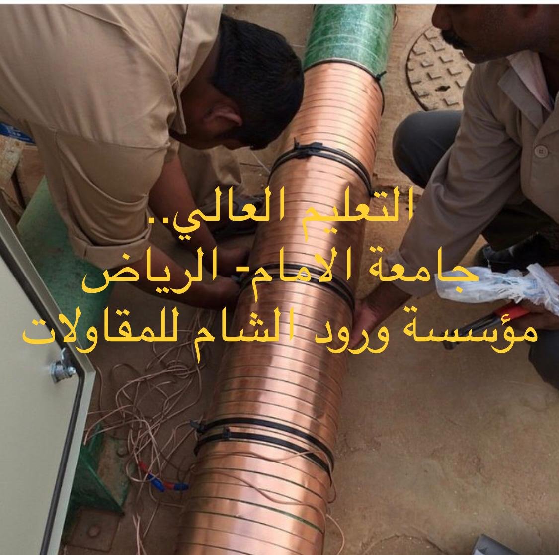 صور التركيب 15